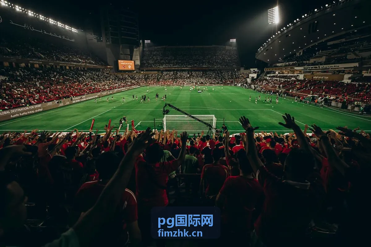 pg国际网某新能源企业中东北非合作落地